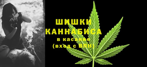 spice Абаза